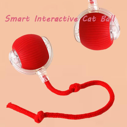Viral Rolling Ball™ – Interactive Motion Cat Toy for Endless Fun (Random Color)