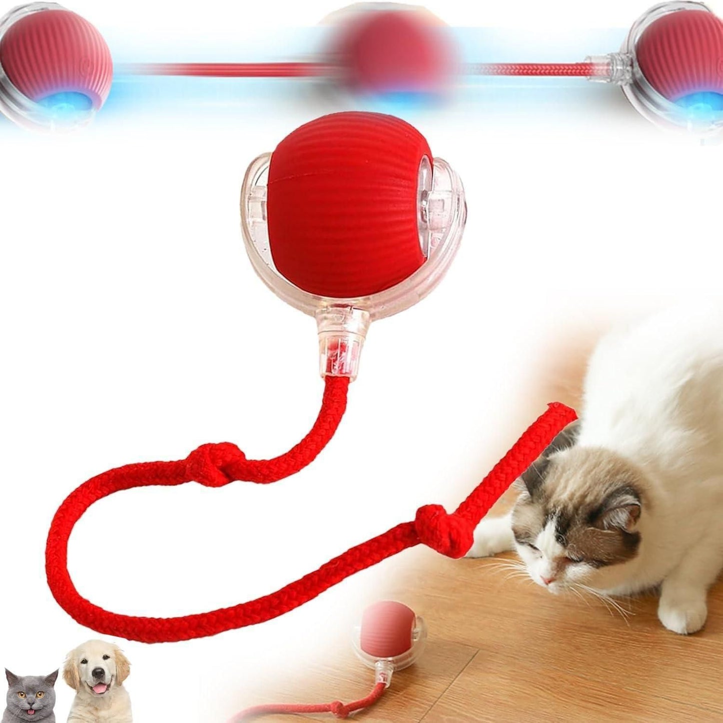 Viral Rolling Ball™ – Interactive Motion Cat Toy for Endless Fun (Random Color)