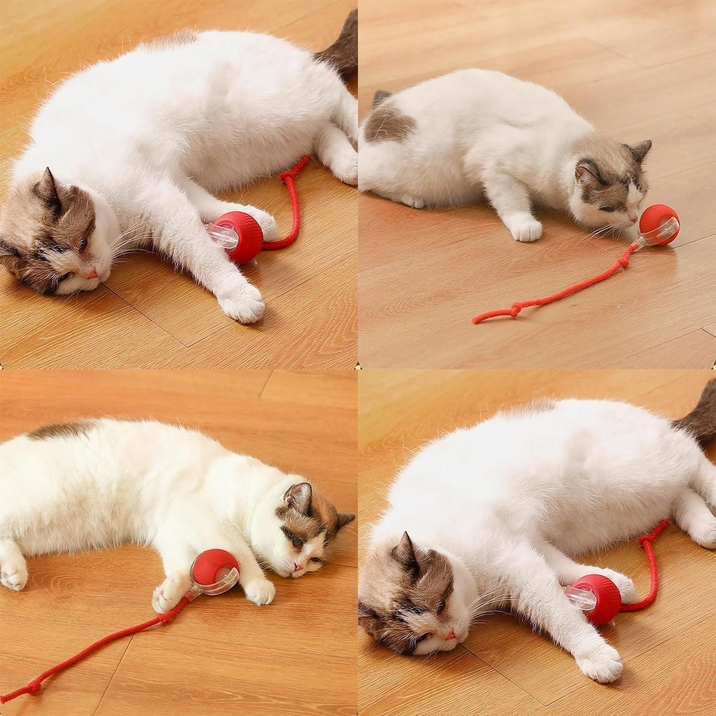 Viral Rolling Ball™ – Interactive Motion Cat Toy for Endless Fun (Random Color)